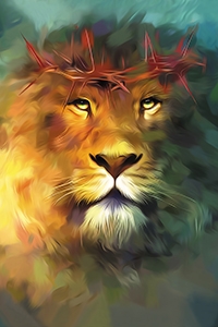 Lev z Júdy